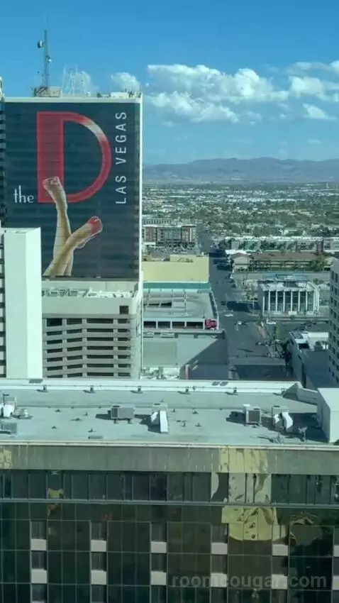 Rush Tower Luxury Suite view picture #6