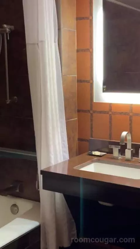 Rush Tower Premier California King Room bathroom picture #3