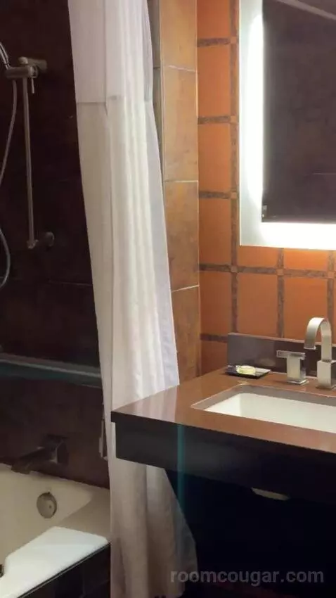 Rush Tower Premier California King Room bathroom picture #4