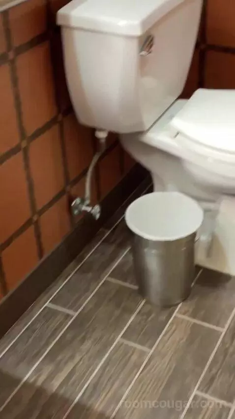 Rush Tower Premier California King Room bathroom picture #11