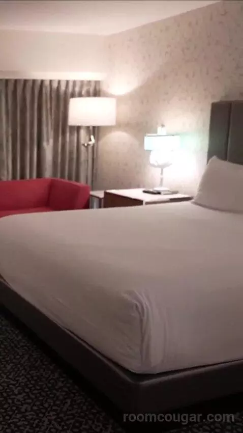 upupandourway's review preview (Flamingo Las Vegas Hotel & Casino)