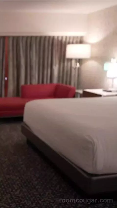Flamingo Room, 1 King bed picture #1
