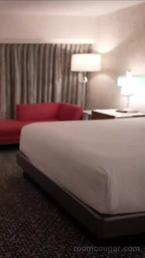 Flamingo Room, 1 King bed picture #2