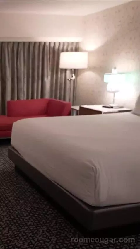 Flamingo Room, 1 King bed picture #3