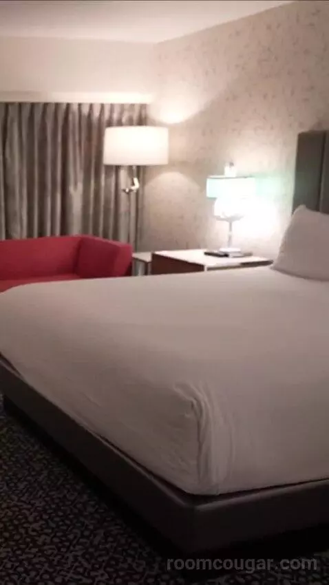 Flamingo Room, 1 King bed picture #5