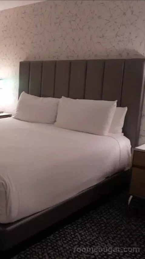 Flamingo Room, 1 King bed picture #6