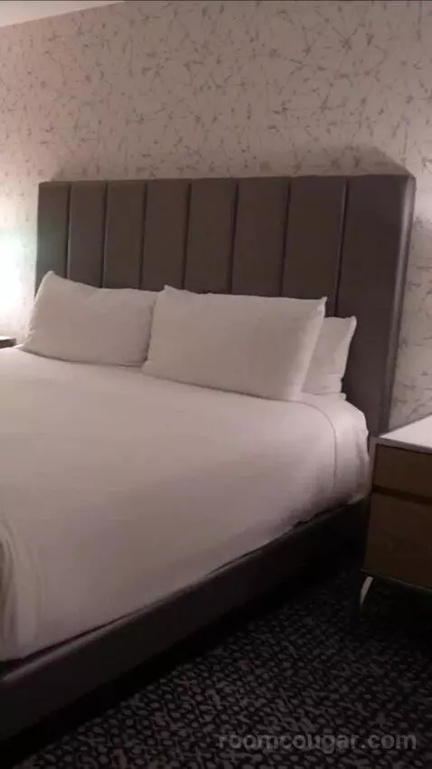 Flamingo Room, 1 King bed picture #7