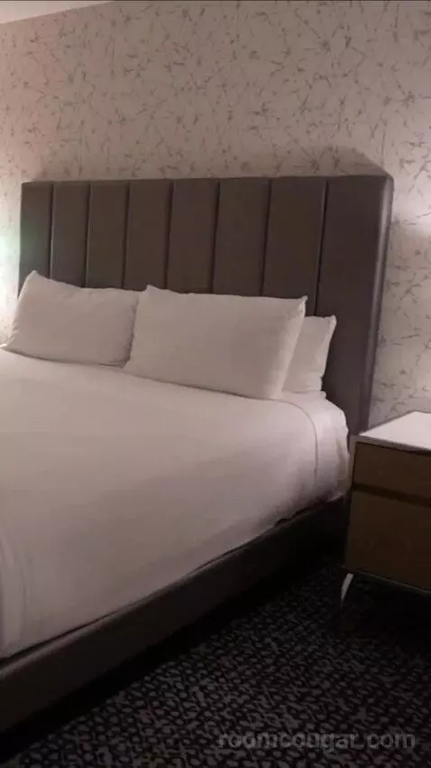 Flamingo Room, 1 King bed picture #8