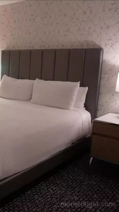 Flamingo Room, 1 King bed picture #9