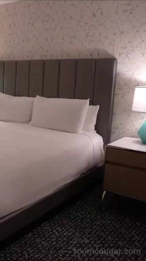 Flamingo Room, 1 King bed picture #11