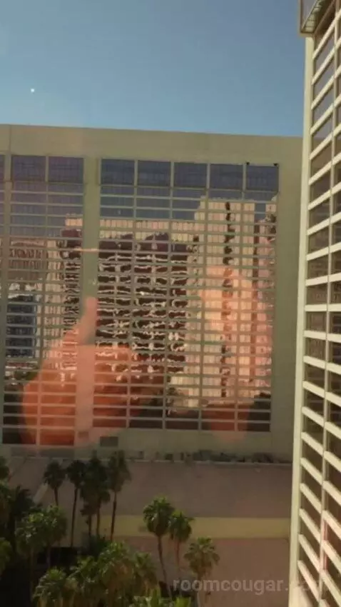 Flamingo Room, 1 King view picture #1