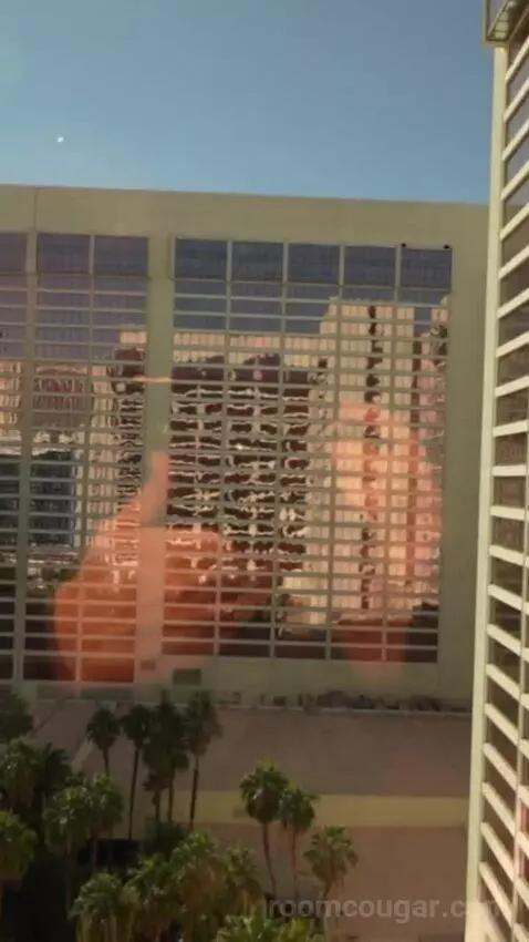 Flamingo Room, 1 King view picture #2