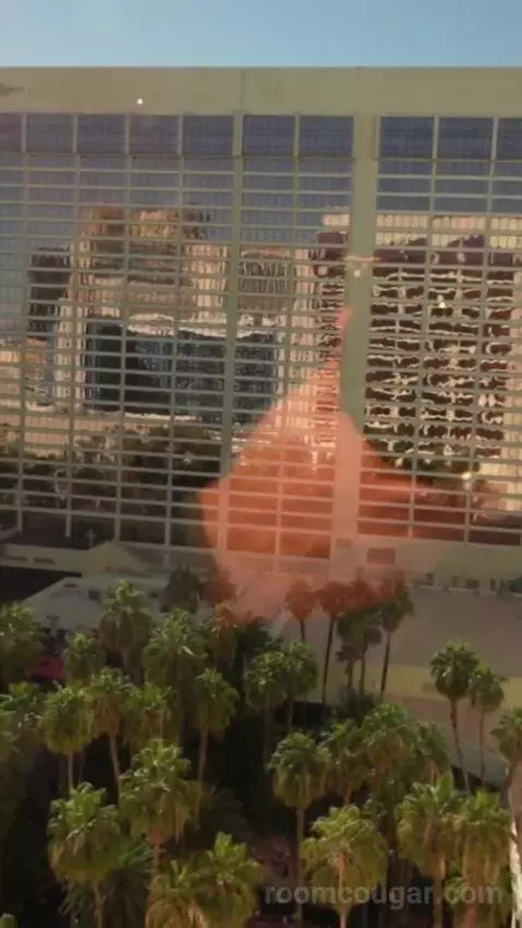 Flamingo Room, 1 King view picture #3