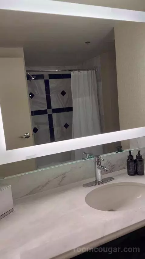 Grand Two Queen bathroom picture #4