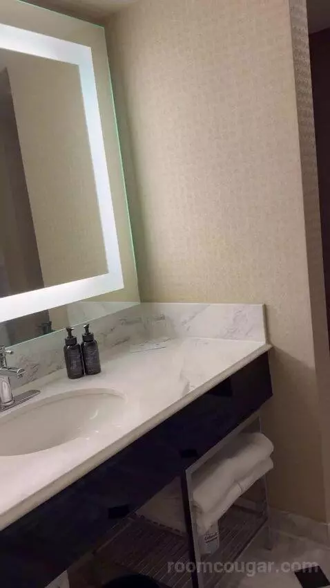 Grand Two Queen bathroom picture #5