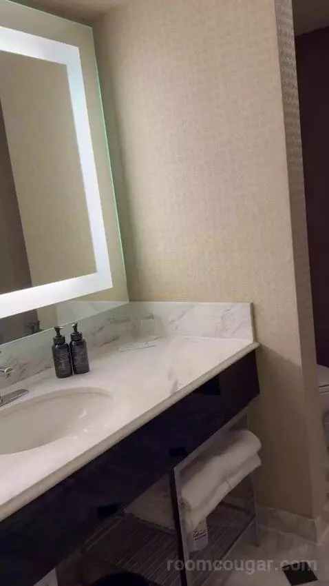 Grand Two Queen bathroom picture #6