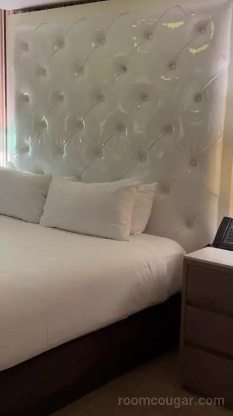 Neapolitan Suite, 1 King bed picture #3