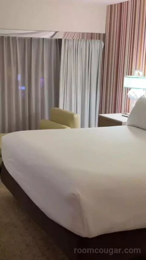 Neapolitan Suite, 1 King bed picture #7