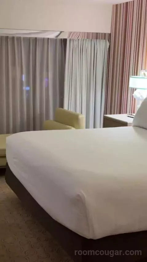 Neapolitan Suite, 1 King bed picture #8