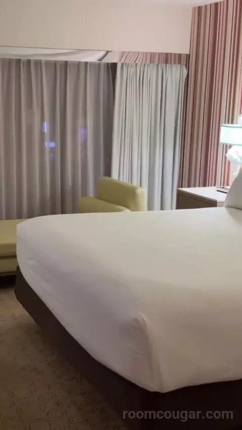 Neapolitan Suite, 1 King bed picture #9