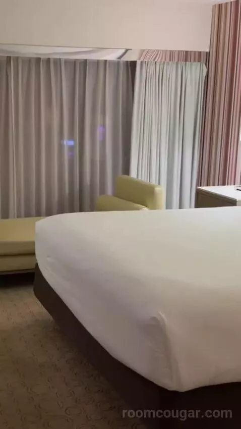 Neapolitan Suite, 1 King bed picture #12