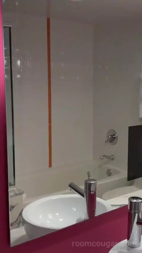 Neapolitan Suite, 1 King bathroom picture #5