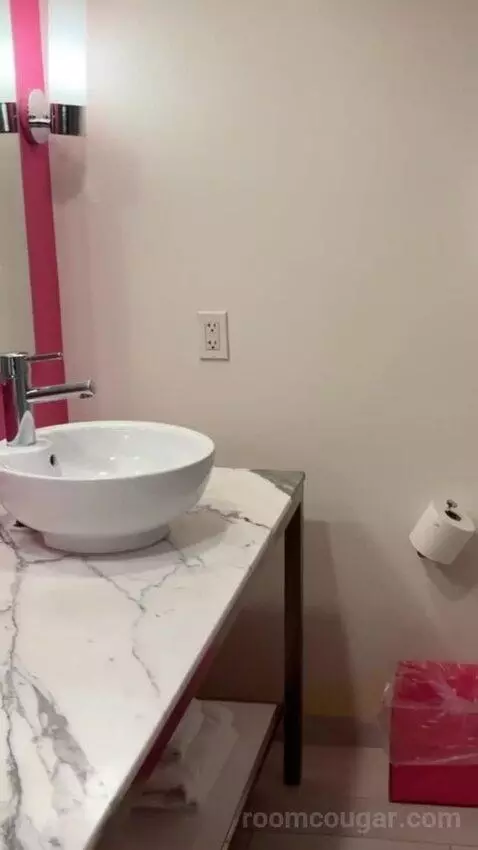 Neapolitan Suite, 1 King bathroom picture #8