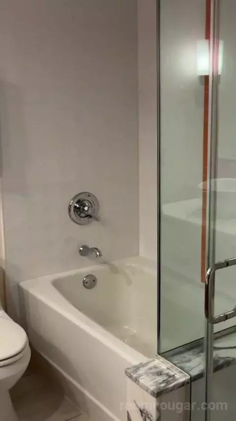 Neapolitan Suite, 1 King bathroom picture #10