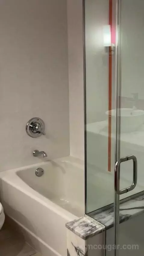 Neapolitan Suite, 1 King bathroom picture #12