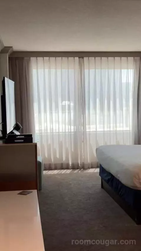 Elevate 1 King - Newly Renovated bed picture #1