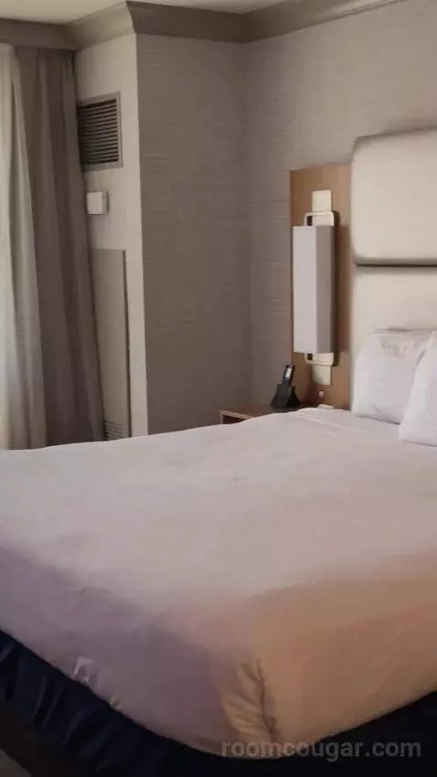 Elevate 1 King - Newly Renovated bed picture #8