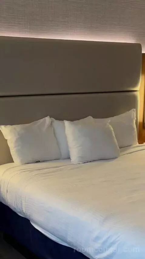 Elevate 1 King - Newly Renovated bed picture #10