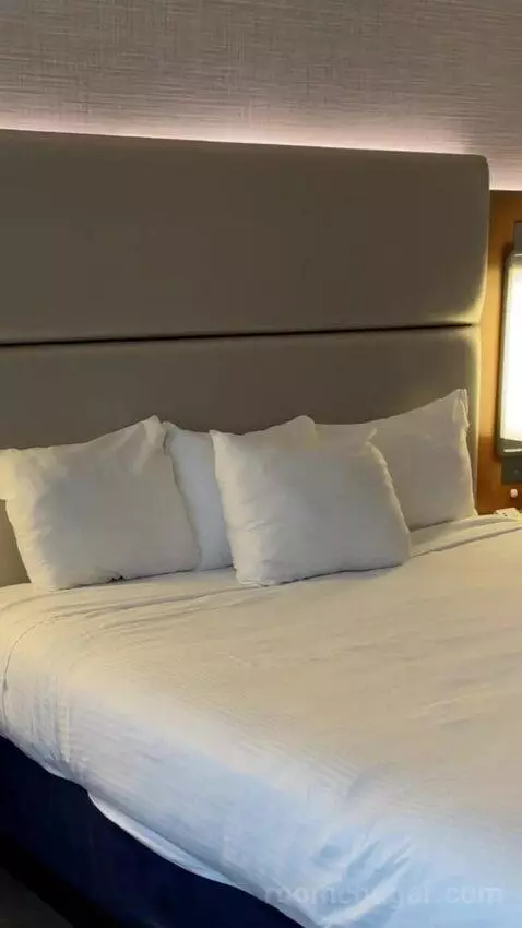 Elevate 1 King - Newly Renovated bed picture #11