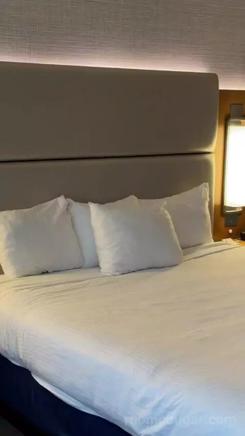 Elevate 1 King - Newly Renovated bed picture #12