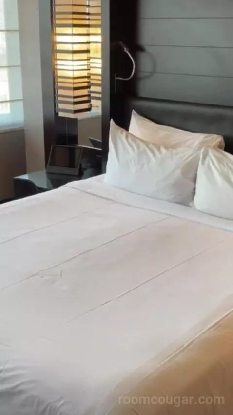 Studio Parlor bed picture #1