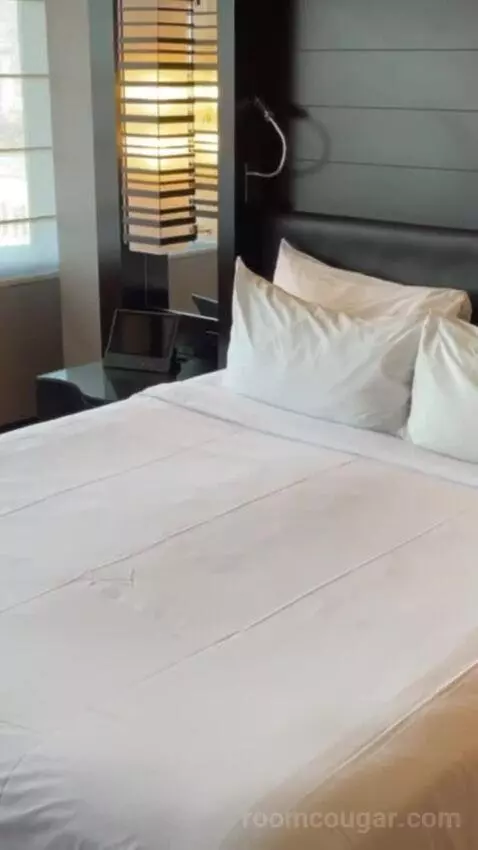 Studio Parlor bed picture #2