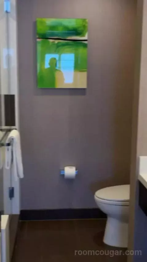 Studio Parlor bathroom picture #3