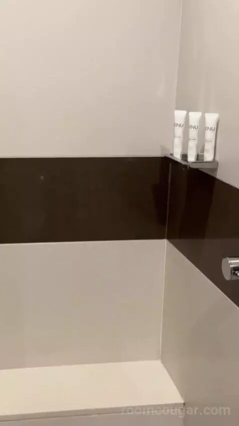 Studio bathroom picture #4