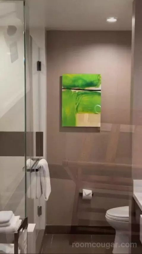 Studio bathroom picture #1