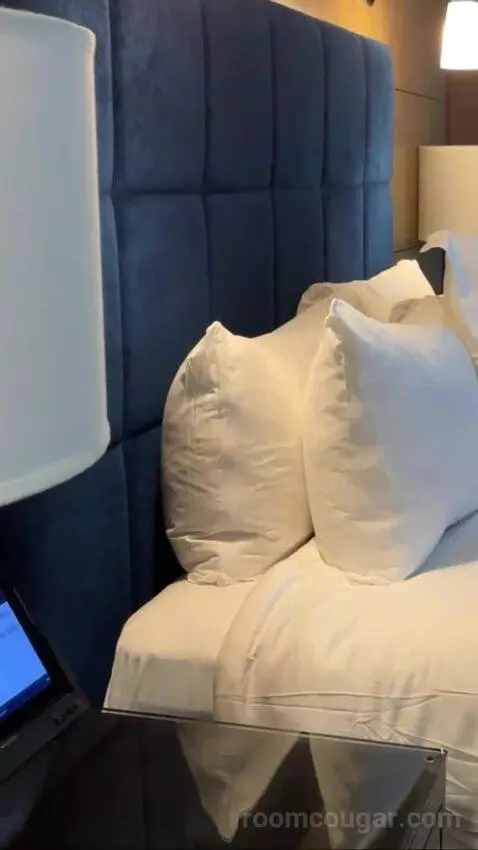 Deluxe King Room bed picture #4