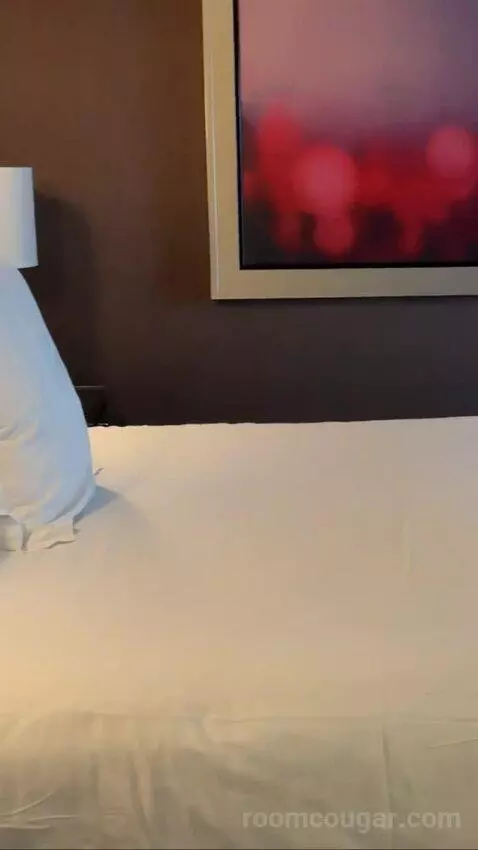 Deluxe King Room bed picture #5