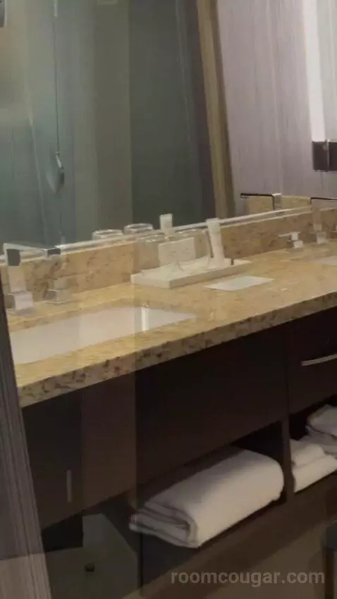 Deluxe King Room bathroom picture #1