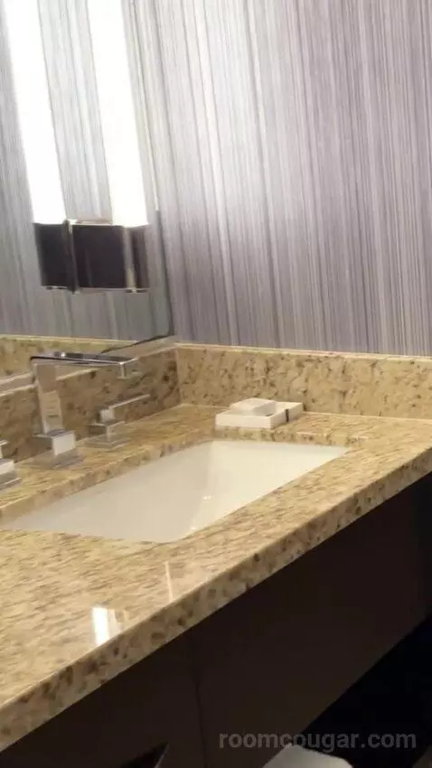 Deluxe King Room bathroom picture #2