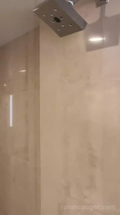 Deluxe King Room bathroom picture #3