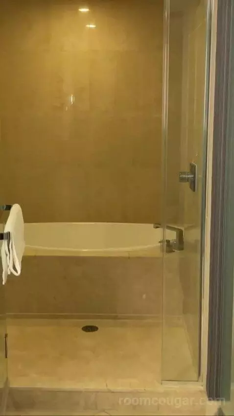 Deluxe King Room bathroom picture #6