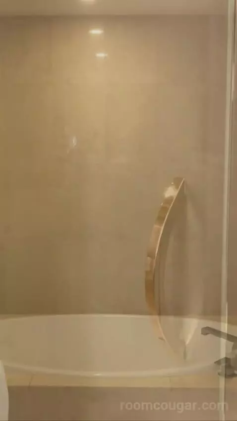 Deluxe King Room bathroom picture #7