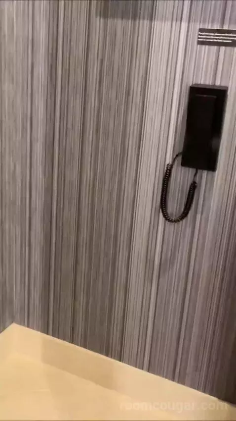 Deluxe King Room bathroom picture #8