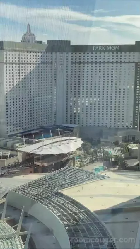 Deluxe King Room view picture #2