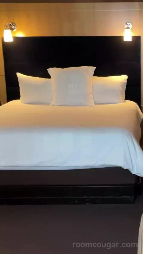 Deluxe King Room bed picture #9