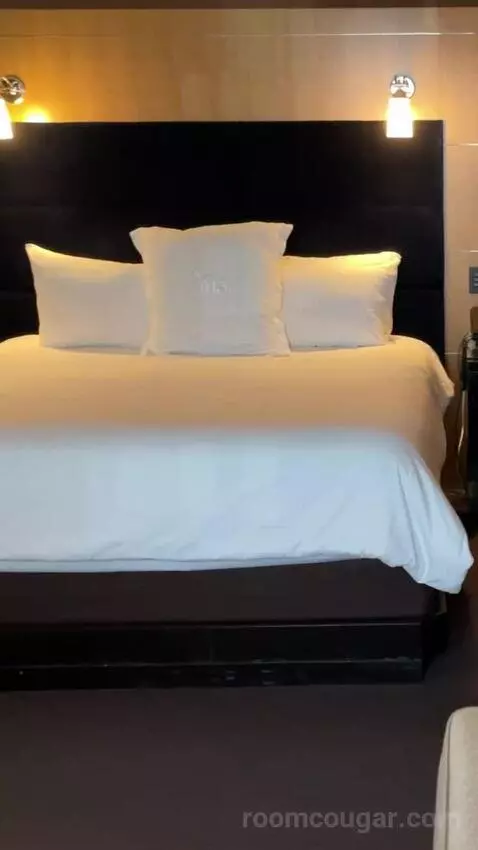 Deluxe King Room bed picture #10